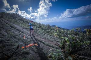 BIB: 5100, 317
                            <button type="button" onclick="openModal(15955406)" class="btn btn-primary btn-sm float-right btn-popup" data-toggle="modal" data-target=".modal-high-quality">
                        <i class="fas fa-shopping-cart"></i> Add to Cart
                    </button>
                                            <button type="button" onclick="isThisMe(15955406, true)" class="btn btn-success btn-sm float-right btn-popup btn-isme hidden" data-toggle="tooltip" data-placement="bottom" title="นี่คือรูปของคุณใช่ไหม คลิกที่นี่เพื่อเอาเข้าอัลบั้ม">
                        <i class="fas fa-plus"></i> Add to album
                    </button>
                    <button type="button" onclick="isThisMe(15955406, false)" class="btn btn-warning btn-sm float-right btn-popup btn-isnotme hidden">
                        <i class="fas fa-ban"></i> Remove from album
                    </button>